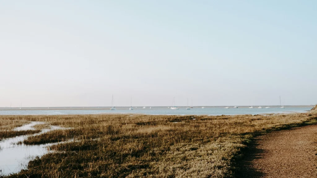 Keyhaven Marshes in The New Forest